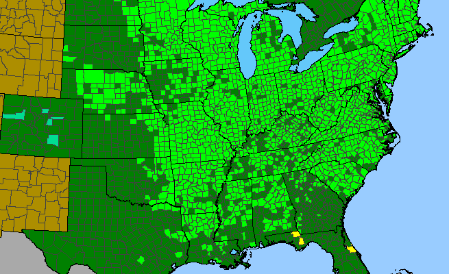The range of Impatiens capensis